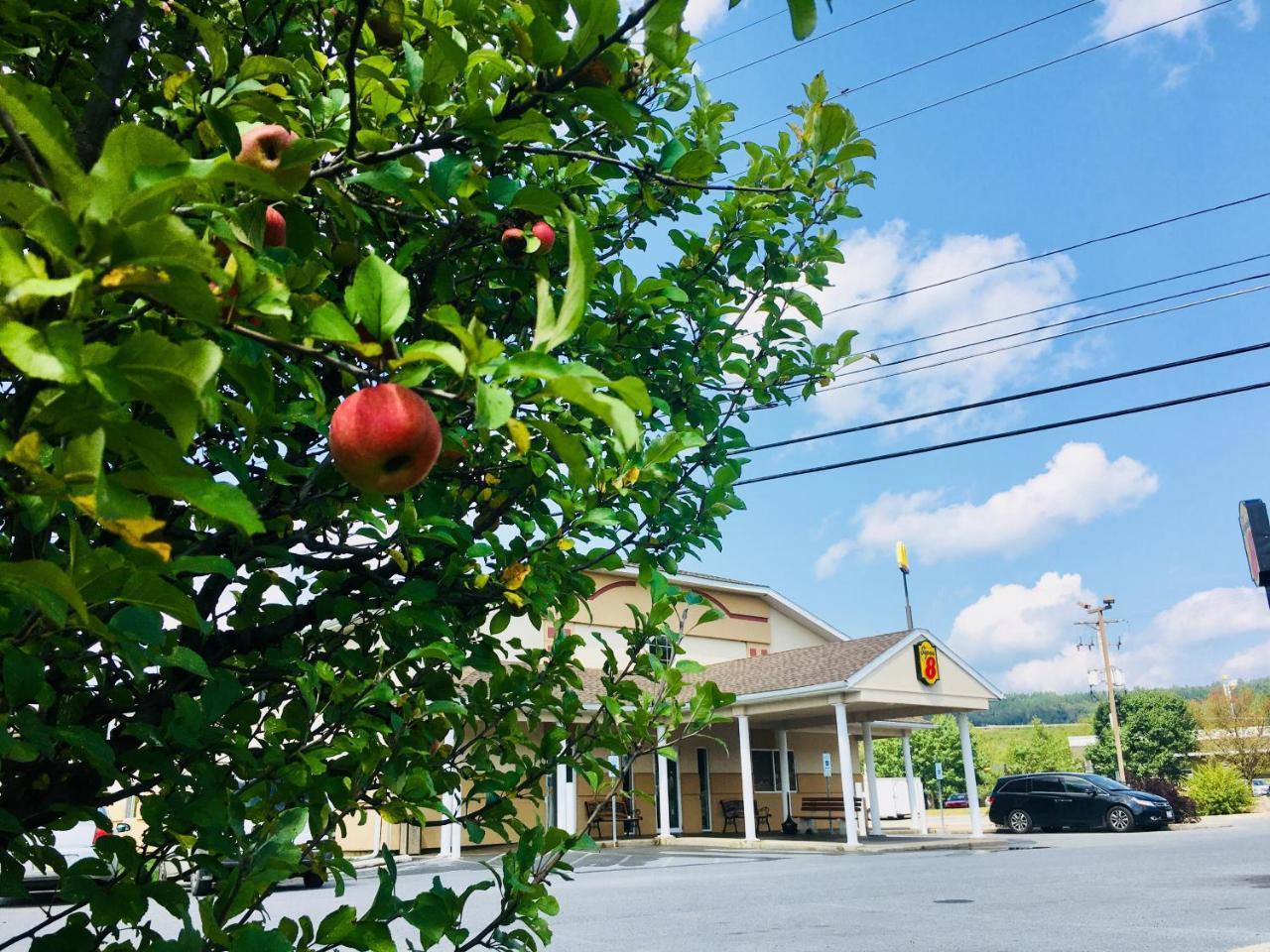 Motel Super 8 By Wyndham Clearfield
